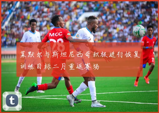 莱默尔与斯坦尼西奇积极进行恢复训练目标二月重返赛场